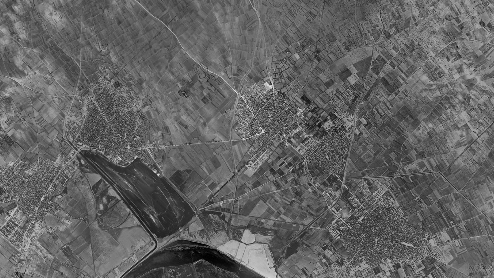 1954
