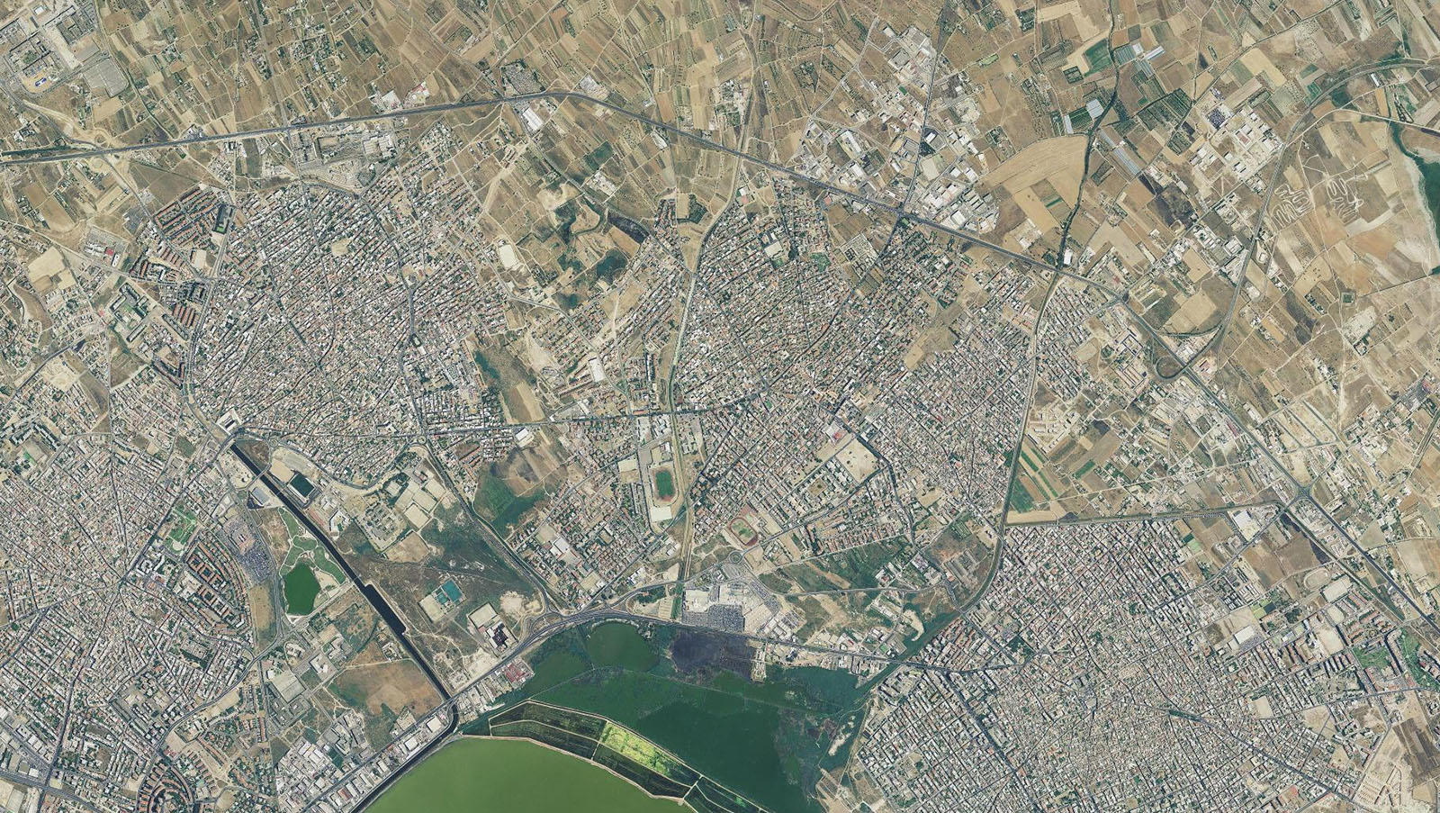 2006