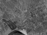 1954
